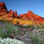 Tenerife1